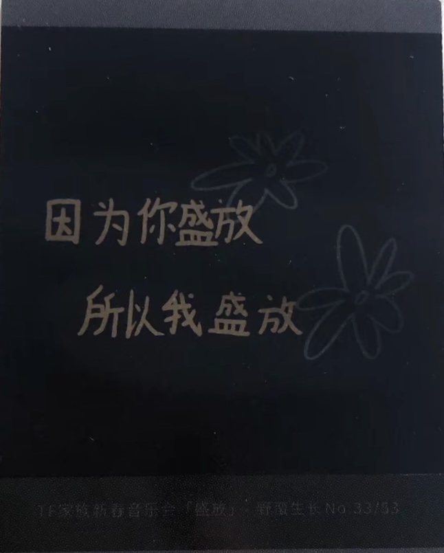 盛放手写